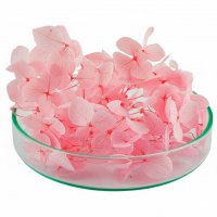 Гортензия стабилизированная розовая 500 мг