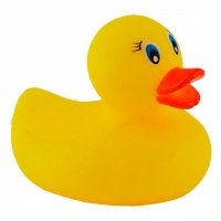 Rubber duck