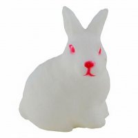 Rubber Rabbit