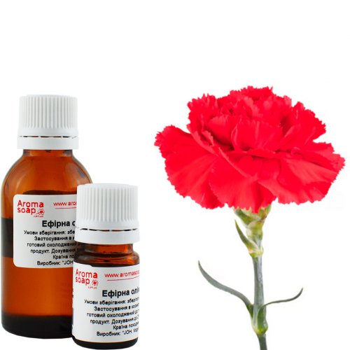 Гвоздика ефірна олія Індонезія