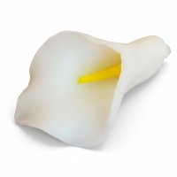 Калла 3D элит-форма