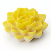 Лилия 3D элит-форма