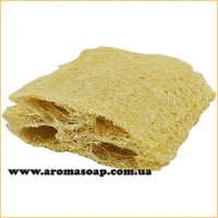 Loofah