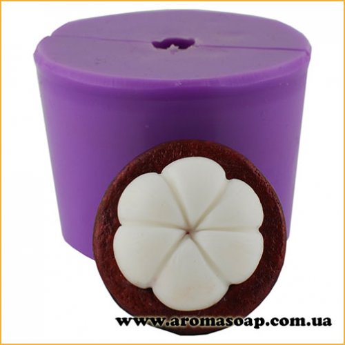 mangosteen 3D silicone mold