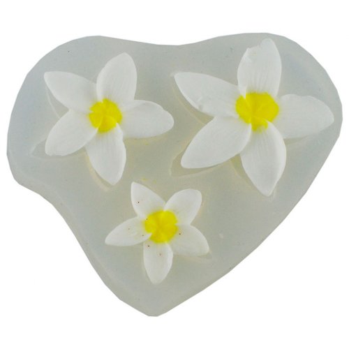 Молд 163 Плюмерія