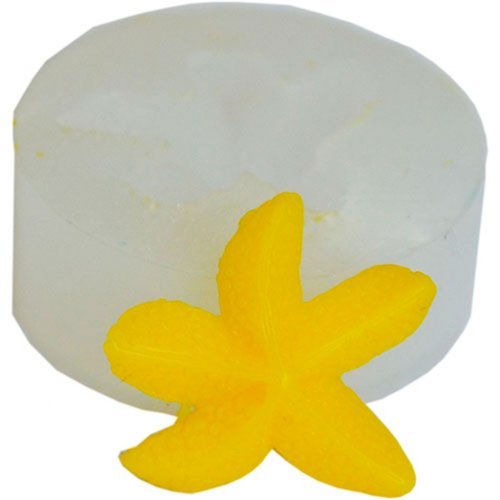 Mold 086 Sea star