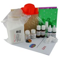 Soap making set New Year's gift Aromasoap (6210)