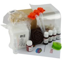 Soap making set Spring Aromasoap (6310)