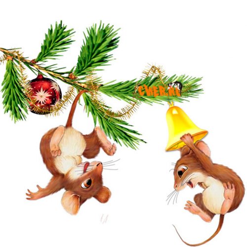 Картинка NG-094