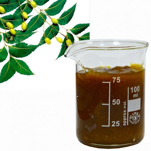 Neem (margosa) oil, unrefined