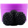 Ежевика пучок из 3-х штук 3D элит-форма