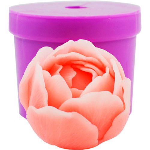 Пион Белла в бутоне 3D элит-форма