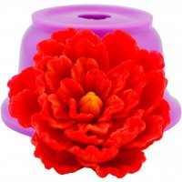 Пион Лиллиан Wild в бутоне 3D элит-форма