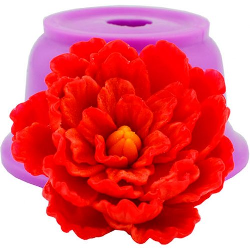 Пион Лиллиан Wild в бутоне 3D элит-форма