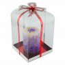 Plastic box with a red bow and a red bottom