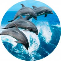 Picture on water-soluble paper Sea-004