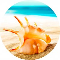 Picture on water-soluble paper Sea-005