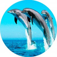 Picture on water-soluble paper Sea-007