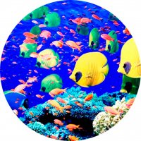 Picture on water-soluble paper Sea-009