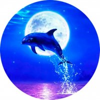 Picture on water-soluble paper Sea-012