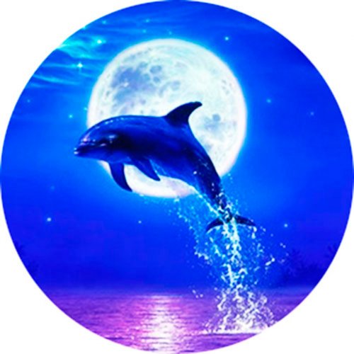 Картинка Sea-012