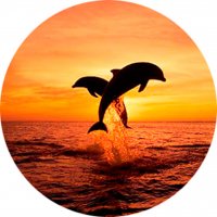 Picture on water-soluble paper Sea-016