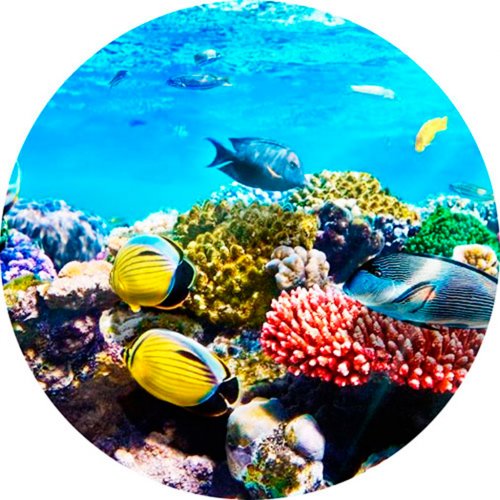 Картинка Sea-018