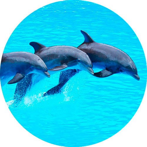 Картинка Sea-019