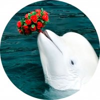 Picture on water-soluble paper Sea-021