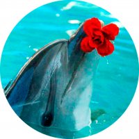 Picture on water-soluble paper Sea-022