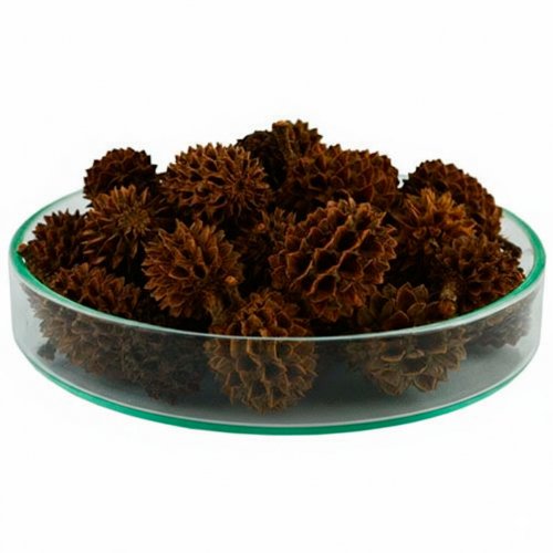 Шишки казуаріна коричневі 10 г