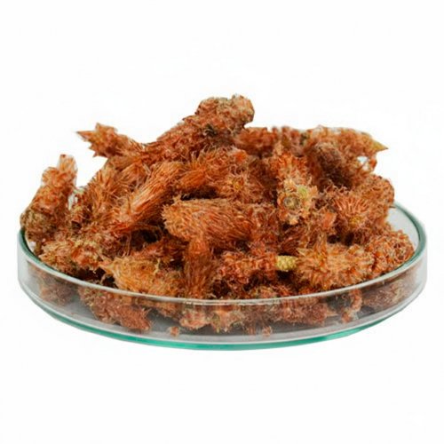 Почки сосновые 10 г