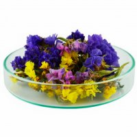 Статица (кермек) стабилизированная ассорти 1 г