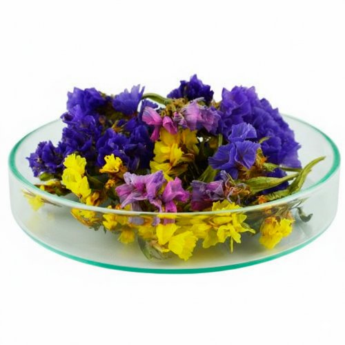 Статица (кермек) стабилизированная ассорти 1 г