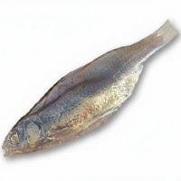 Тарань еліт-форма