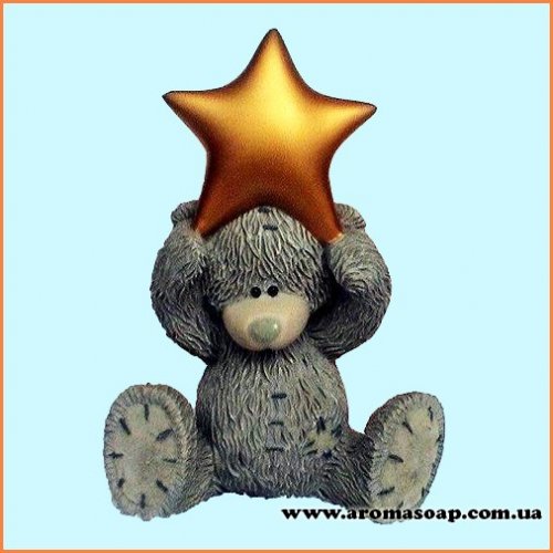 Teddy with a star 3D silicone mold