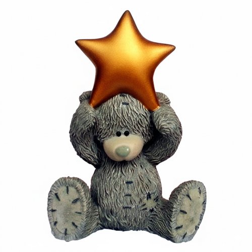 Teddy with a star 3D silicone mold