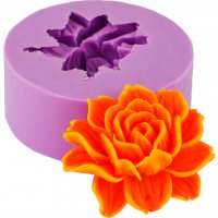 Троянда Ностальжі мала еліт-форма