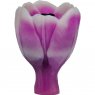 Тюльпан Candy в бутоне 3D элит-форма