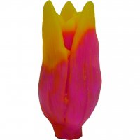 Тюльпан Леди в бутоне 3D элит-форма