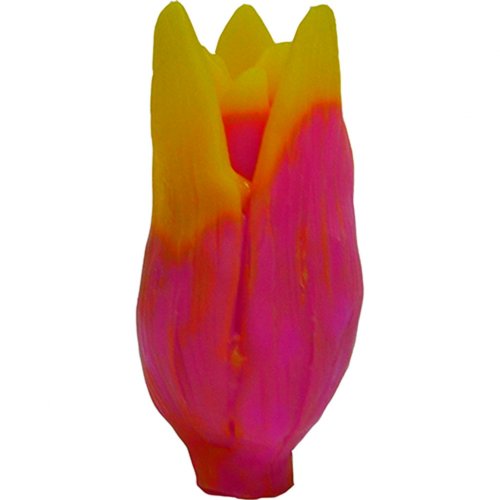 Тюльпан Леді в бутоні 3D еліт-форма