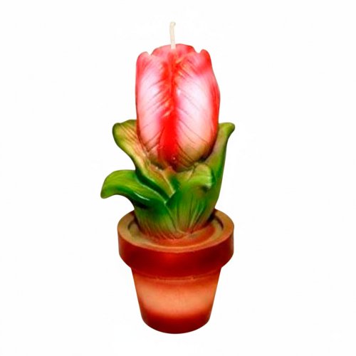 Тюльпан в горщику 3D еліт-форма