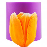 Тюльпан Верона бутон раскрытый 3D элит-форма