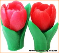 Весенний тюльпан 3D (2 формы) элит-форма