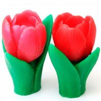 Весенний тюльпан 3D (2 формы) элит-форма