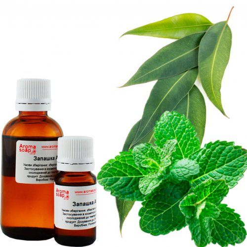 Листя м'яти і Евкаліпт запашка (ароматизатор)