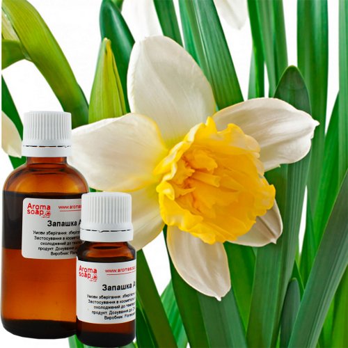 Narcissus fragrance (flavor)