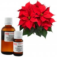 Poinsettia fragrance (flavor)