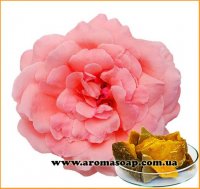 Воск Розы (Rosa Damascena Extract)